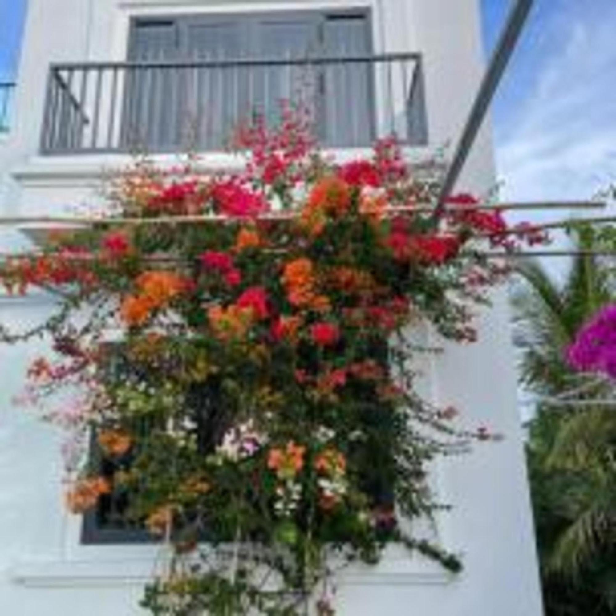 Duc Luu Quang Hotel Binh Thuan Tuy Phong Exterior foto